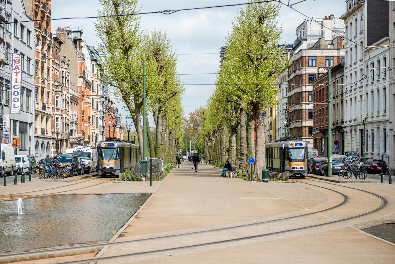 Trams et zones piétonnes au Quai du commerce